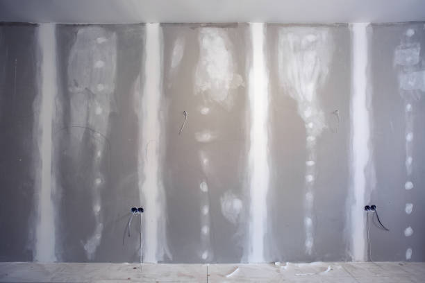 Best Attic Mold Removal  in Kenwood Estates, FL